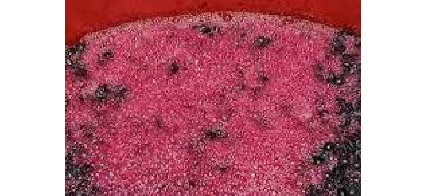 La Madre del Vino
